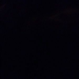 Meet your Posher, Bella